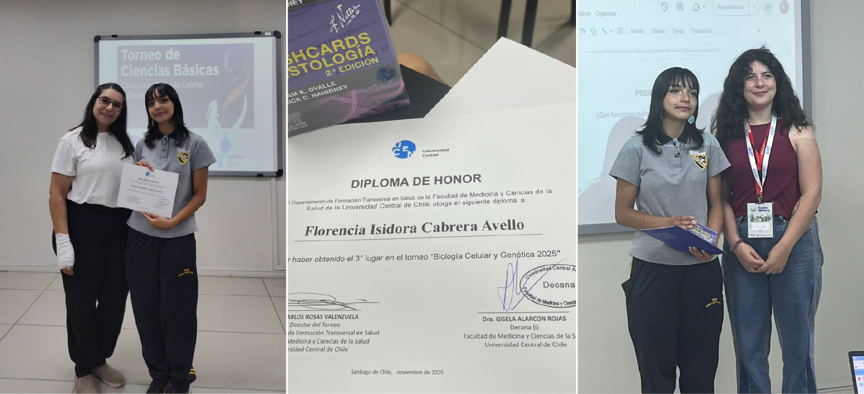 diploma